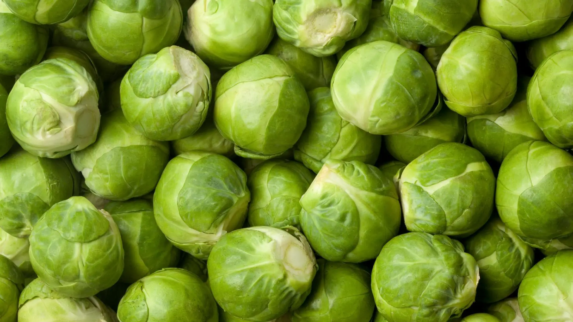 Can chickens eat Brussel sprouts
