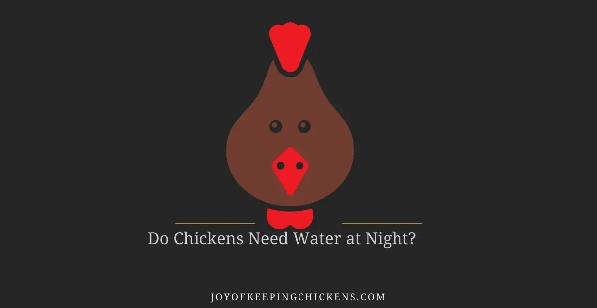 Do Chickens Need Water at Night?